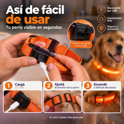 Collar Luminoso LED Recargable
