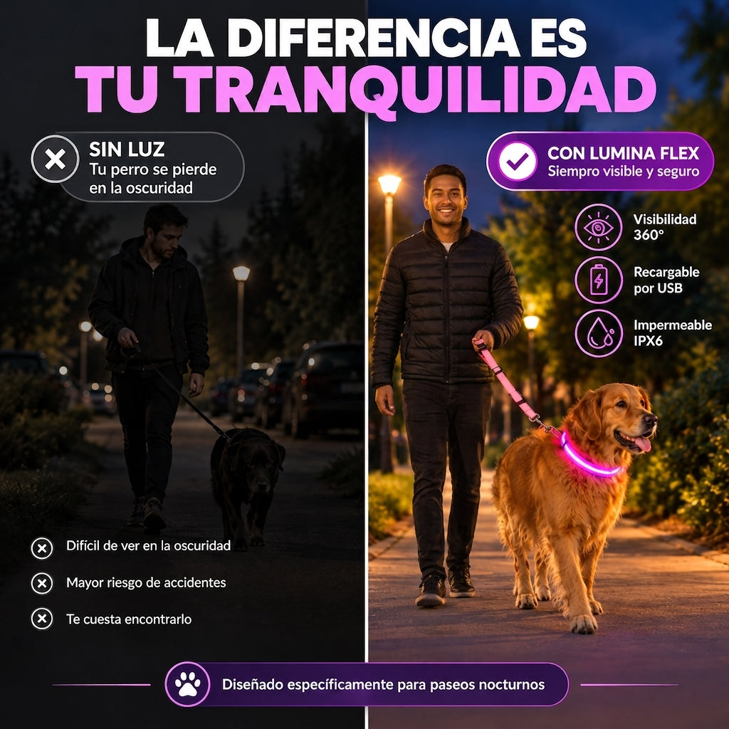Collar Luminoso LED Recargable